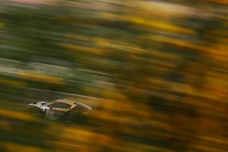 #111 - CSA Racing - Arthur ROUGIER - Romain CARTON - Adam ETEKI - Audi R8 LMS GT3 EVO II
 | SRO Motorsports Group
