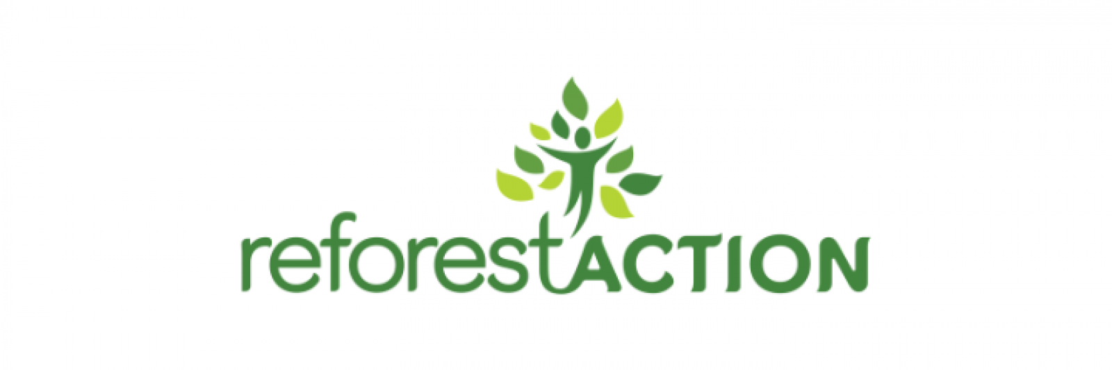 SRO Motorsports Group adds reforestation project in Belgian Ardennes to expanding sustainability programme  