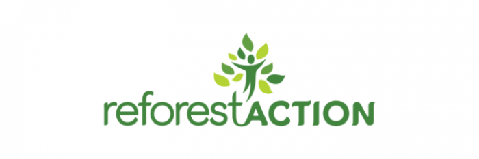 SRO Motorsports Group adds reforestation project in Belgian Ardennes to expanding sustainability programme  